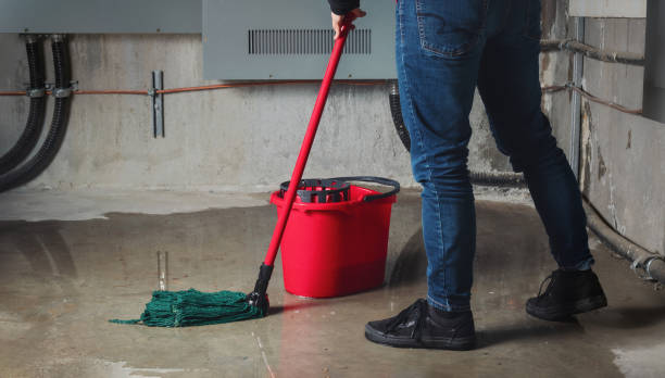 Best Emergency water damage restoration  in Providence, KY